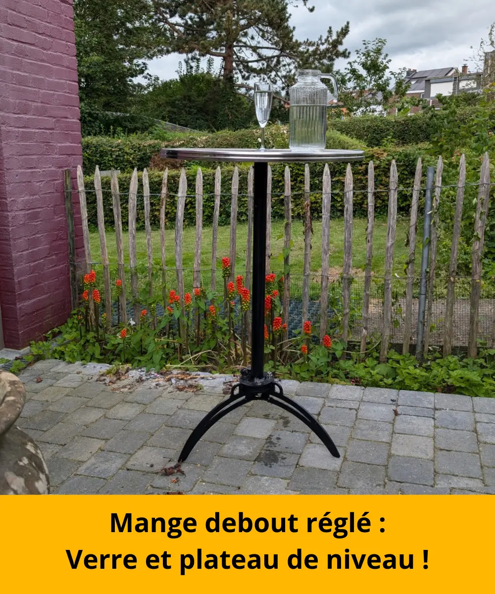 Mange debout à plateau réglable de niveau